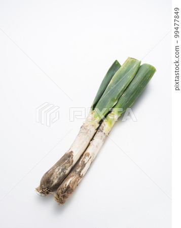 Shimonita Onegi Shimonita Onegi 99477849