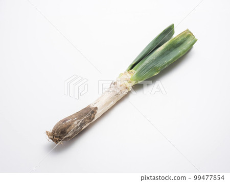 Shimonita Onegi 99477854