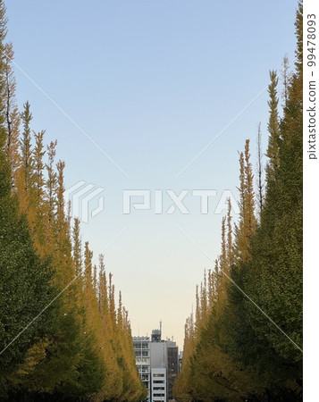 Landscape 1 99478093