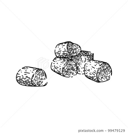 onion green cut sketch hand drawn vector 99479129
