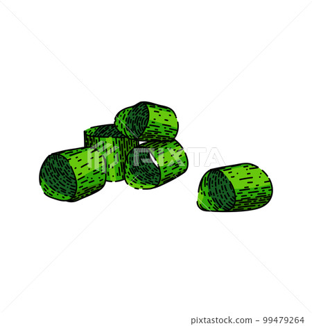 onion green cut sketch hand drawn vector 99479264