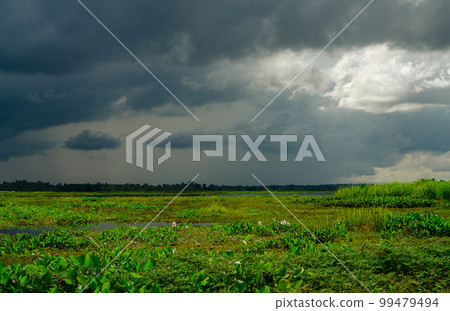 Natural water reservoir. Water sustainability. Landscape of green grass field and overcast sky. Fresh water for human consumption and use in agriculture. Sustainable sources of water. Carbon capture. Natural water reservoir. Water sustainability. Landscape of green grass field and overcast sky. Fresh water for human consumption and use in agriculture. Sustainable sources of water. Carbon capture. 99479494