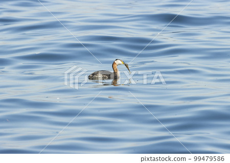 Akaya dialect Akaya dialect 99479586