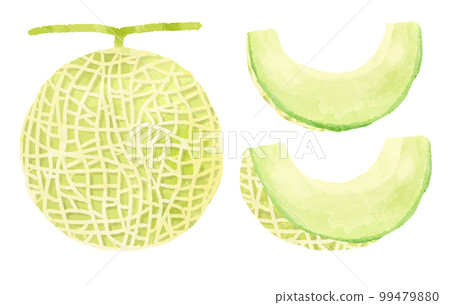 甜瓜插畫手繪水彩風格 99479880