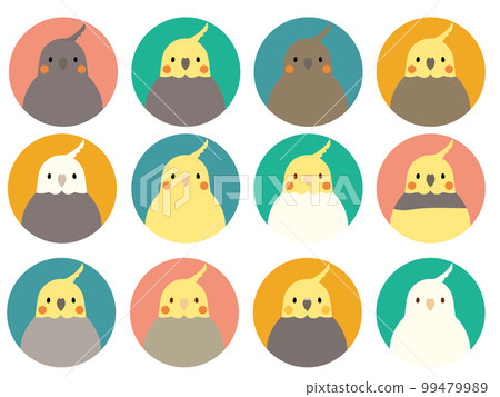 玄鳳鸚鵡圖標集 99479989