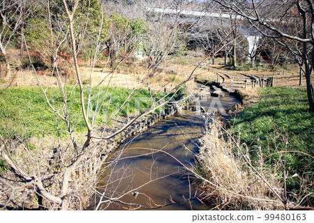 小川在公園裡流淌 小川在公園裡流淌 99480163