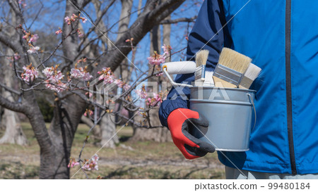 Cherry blossoms and painting tools | Renovation, painting contractor, DIY image Cherry blossoms and painting tools | Renovation, painting contractor, DIY image 99480184