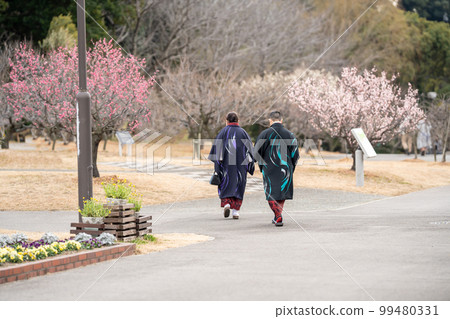 An elderly couple wearing antique kimono strolling through the Saburi Pond plum grove where the Saburi plums have begun to bloom. An elderly couple wearing antique kimono strolling through the Saburi Pond plum grove where the Saburi plums have begun to bloom. 99480331