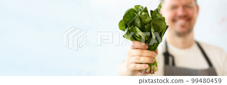 Cook in apron holds bunch of spinach lettuce and sorrel in hands Cook in apron holds bunch of spinach lettuce and sorrel in hands 99480459