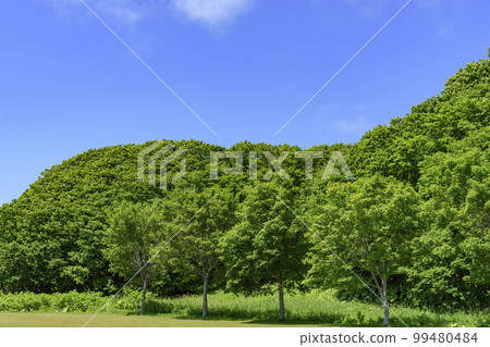 Bekanbeushi Marsh in Eastern Hokkaido Akkeshi Bekanbeushi Marsh in Eastern Hokkaido Akkeshi 99480484