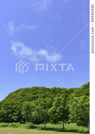 Bekanbeushi Marsh in Eastern Hokkaido Akkeshi Bekanbeushi Marsh in Eastern Hokkaido Akkeshi 99480486