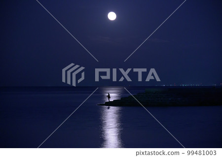 滿月和月亮路 99481003