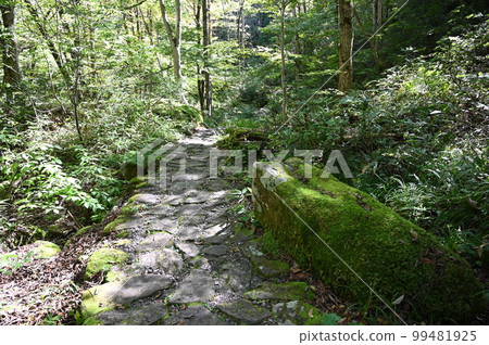 Utsue Shijuhachitaki Nature Trail 岐阜縣高山市 Utsue Shijuhachitaki Nature Trail 岐阜縣高山市 99481925