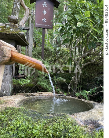 water from bamboo 99482614