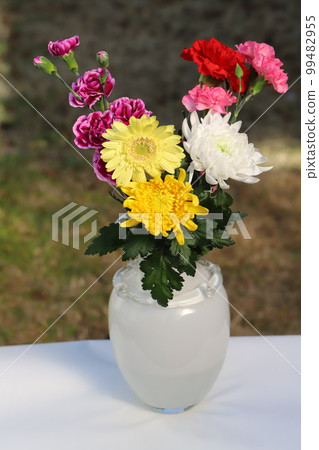White and yellow chrysanthemums and pink carnation flowers displayed by the window 99482955
