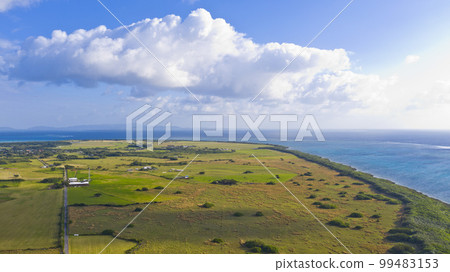 從黑島上空俯瞰壯麗景色 99483153