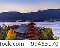Miyajima five-storied pagoda and autumn leaves (light up) of World Heritage Aki 99483170