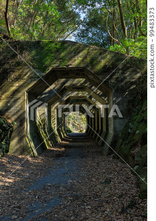 Octagonal tunnel 99483373