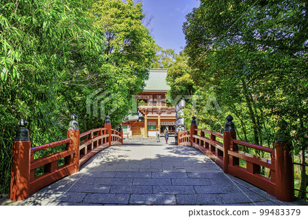 埼玉縣埼玉市武藏一宮冰河神社，神池上的紅色欄桿橋 99483379