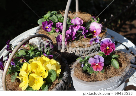 flower arrangement & flower arrangement flower arrangement & flower arrangement 99483553