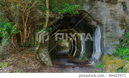 Octagonal tunnel 99483971