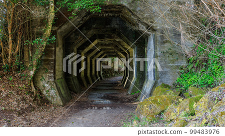 八角形隧道 99483976