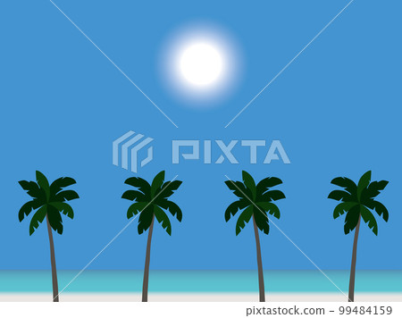 Palm tree daytime B1-1 99484159