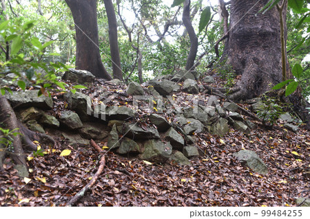 留在馬場的立花山城石牆 99484255