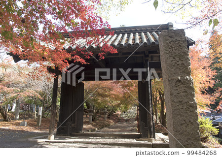 秋月城秋葉和黑門 秋月城秋葉和黑門 99484268