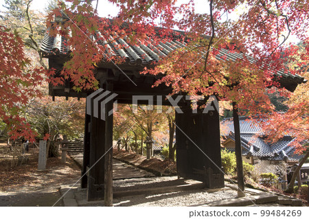 秋月城秋葉和黑門 秋月城秋葉和黑門 99484269