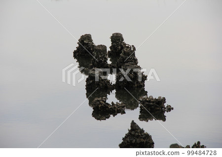 Scenery of the sea/Scene where the pier is broken and only the stakes remain and are above the water surface Scenery of the sea/Scene where the pier is broken and only the stakes remain and are above the water surface 99484728