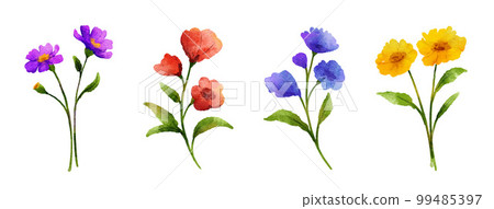 Wild flowers set in watercolor style isolated on white background. Wild flowers set in watercolor style isolated on white background. 99485397