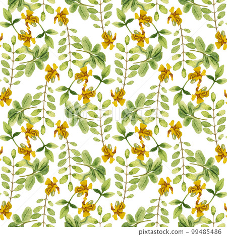 Watercolor leaves and yellow flower seamless pattern Watercolor leaves and yellow flower seamless pattern 99485486
