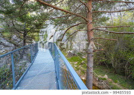 Gorge of La Yecla, Burgos, Spain 99485593