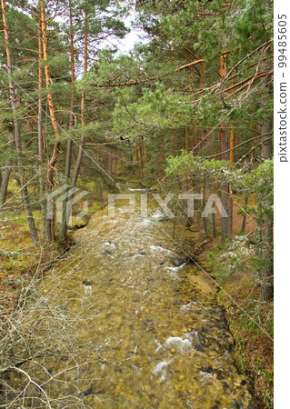 Eresma River, Sierra de Guadarrama National Park, Spain 99485605