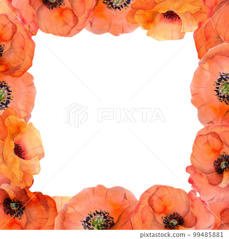 Watercolor square frame composition with hand drawn summer bright red poppy flowers. Isolated on white background. Design for invitations, wedding, love or greeting cards, paper, print, textile 99485881