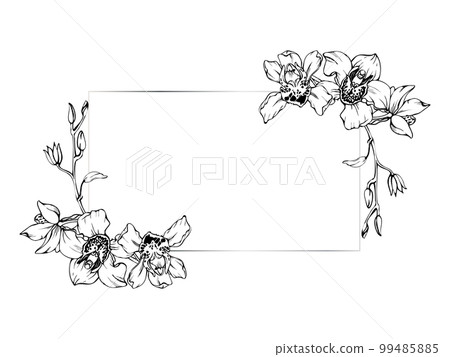 Hand drawn vector ink orchid flowers and branches, monochrome, detailed outline. Horizontal frame composition. Isolated on white background. Design for wall art, wedding, print, tattoo, cover, card. Hand drawn vector ink orchid flowers and branches, monochrome, detailed outline. Horizontal frame composition. Isolated on white background. Design for wall art, wedding, print, tattoo, cover, card. 99485885