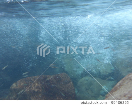 Underwater photography of clear stream Underwater photography of clear stream 99486265