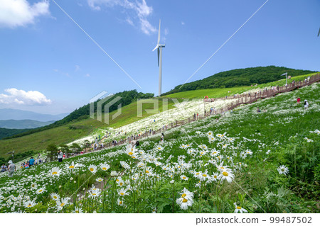 Cheongoksan 600 Bajigi Pyeongchang-gun Gangwon-do 99487502