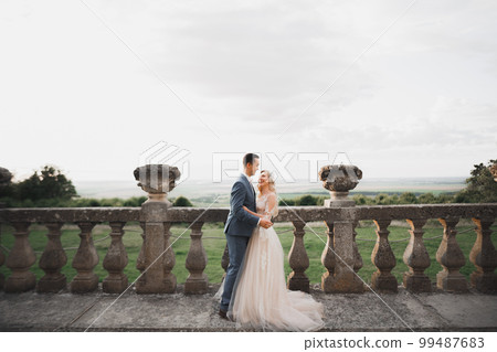Wedding couple on the nature is hugging each other. Beautiful model girl in white dress. Man in suit Wedding couple on the nature is hugging each other. Beautiful model girl in white dress. Man in suit 99487683