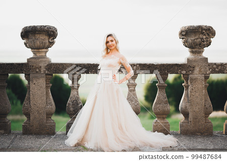Beautiful luxury bride in elegant white dress Beautiful luxury bride in elegant white dress 99487684