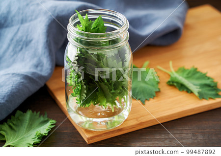 Perilla preserved in a jar 99487892