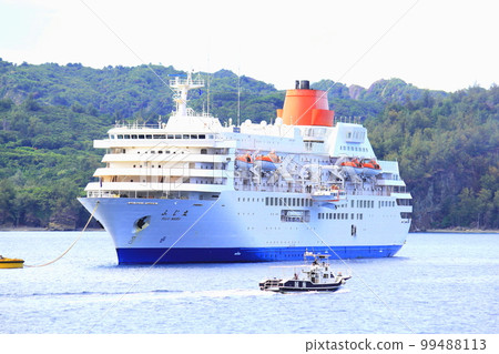 luxury liner luxury liner 99488113