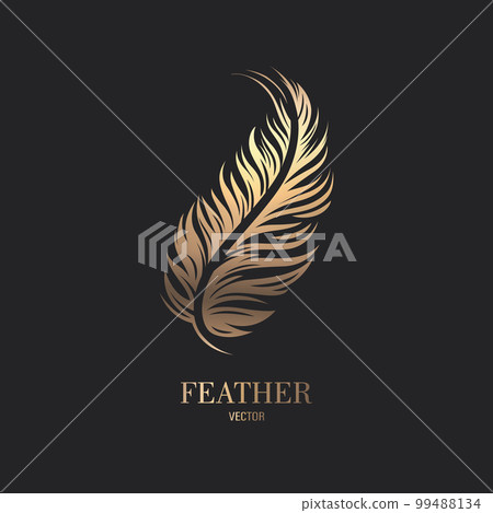 Vector Fluffy Golden Color Feather Logo Icon, Silhouette Feather Closeup Isolated. Design Template of Flamingo, Angel, Bird Feather. Lightness, Freedom Concept 99488134