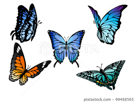 butterfly butterfly butterfly butterfly butterfly butterfly 99488565