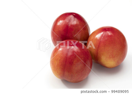 白底梅花 99489095