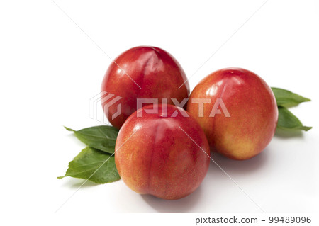 白底梅花 白底梅花 99489096