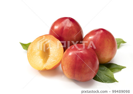 白底梅花 99489098