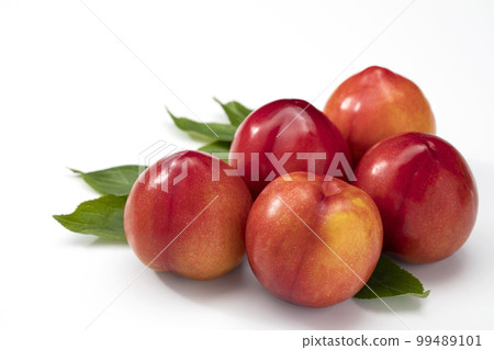 Plum with white background 99489101