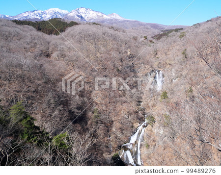 冬天的霧降瀑布 99489276